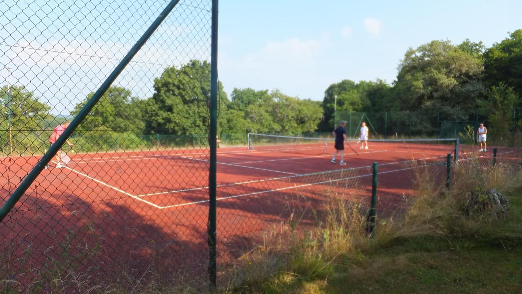 La Vache Tennis Prive Crux-la-Ville Luaran gambar